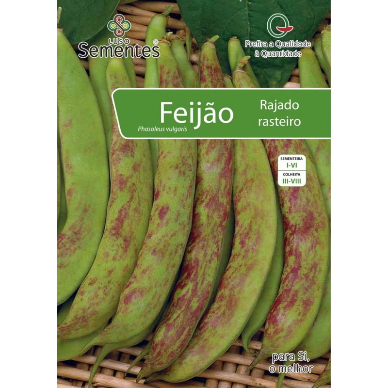 Feijão Rajado Rasteiro