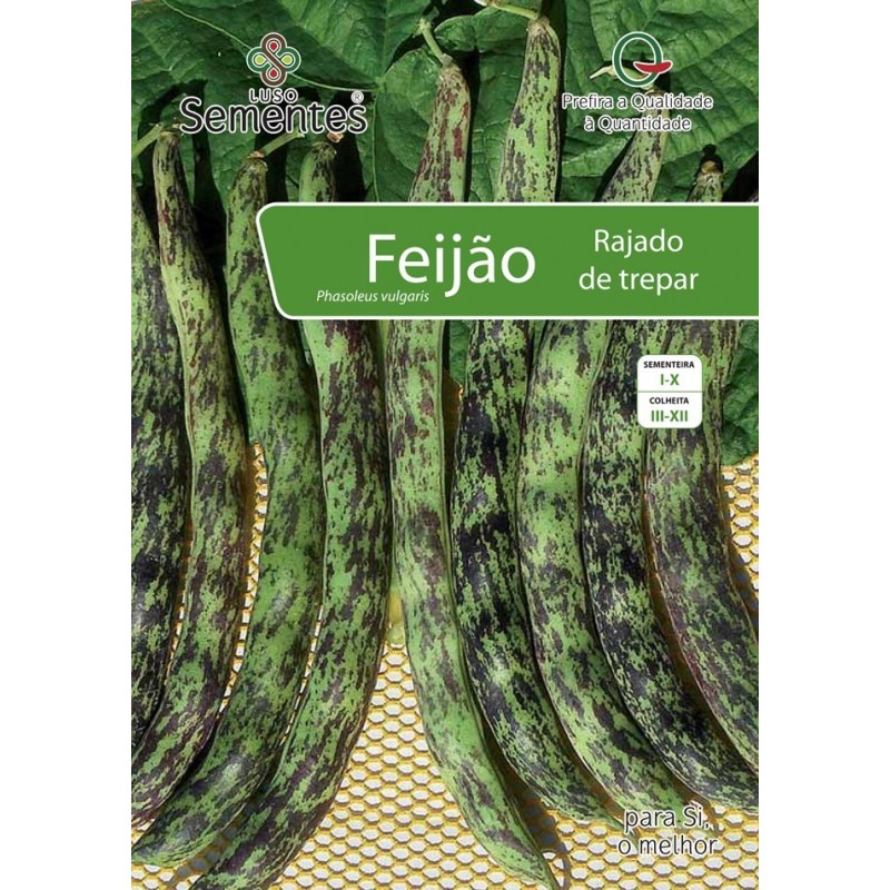 Feijão Rajado de Trepar
