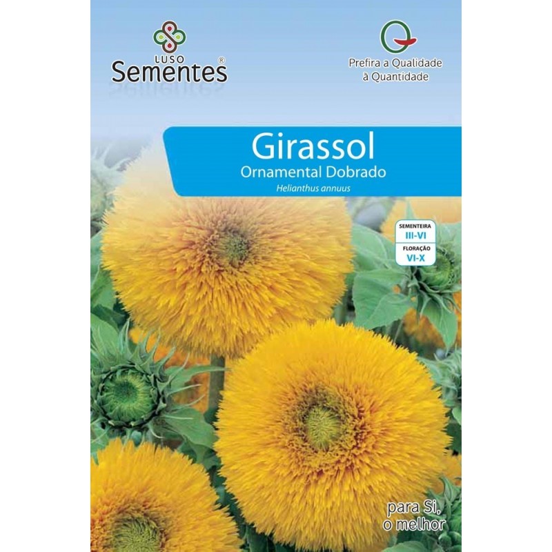 Girassol Ornamental Dobrado