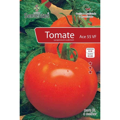 Tomate Ace 55 VF