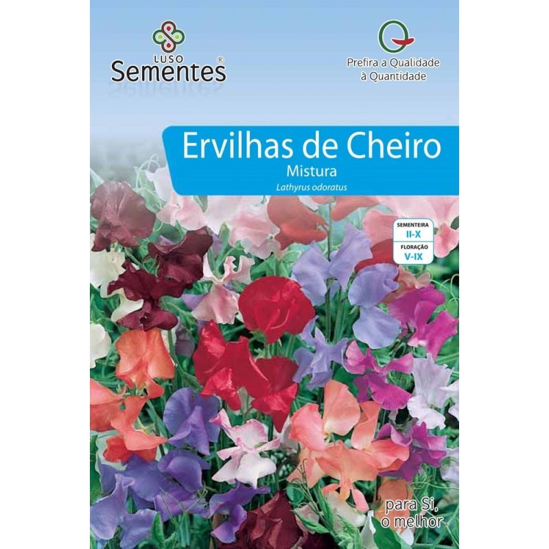 Ervilha de Cheiro Mistura