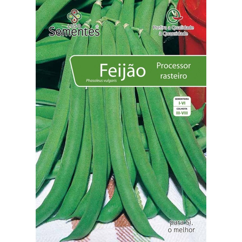 Feijão Processor Rasteiro