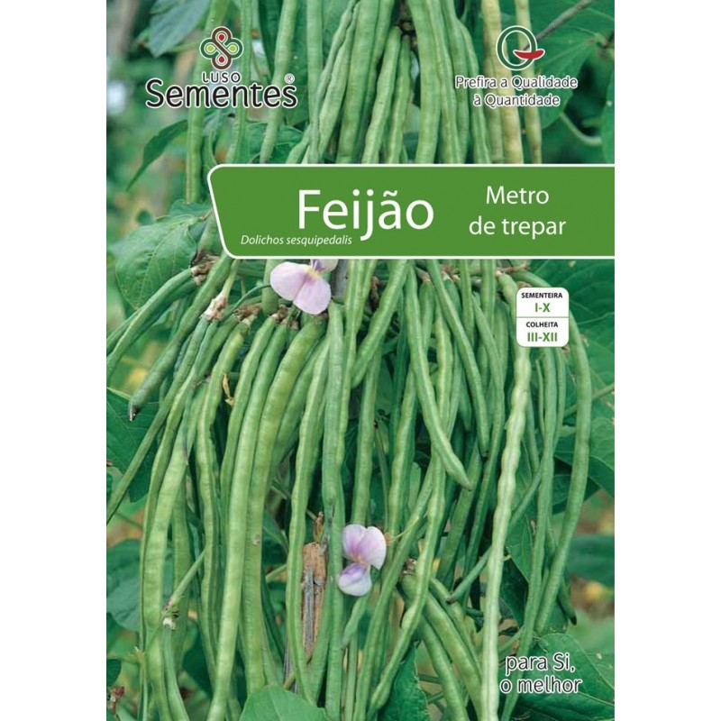 Feijão Metro