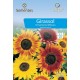 Girassol Ornamental Mistura