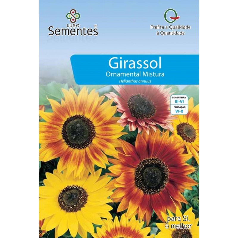Girassol Ornamental Mistura