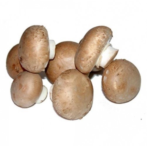Saco Cogumelos Portobello