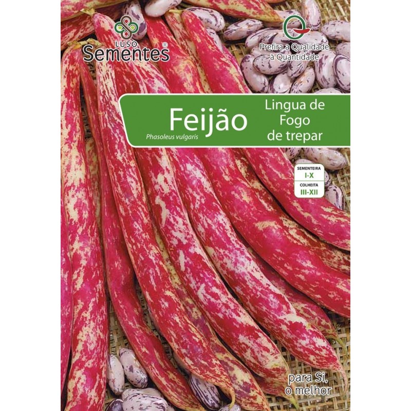 Feijão Língua Fogo de Trepar