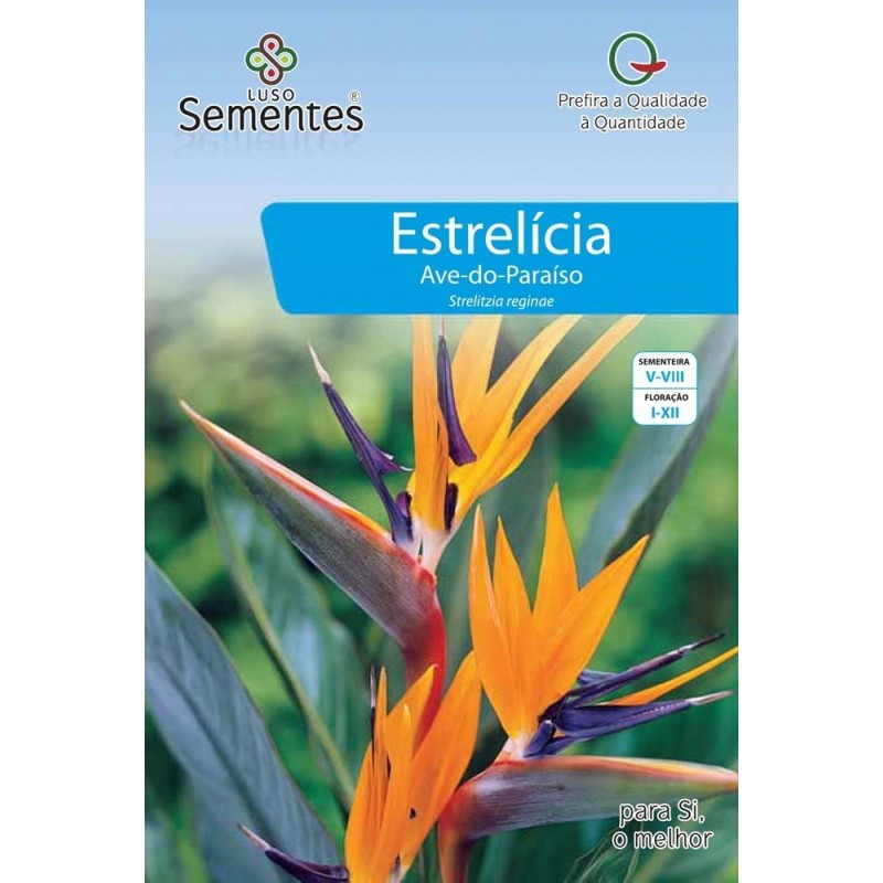 Estrelícia Ave do Paraíso