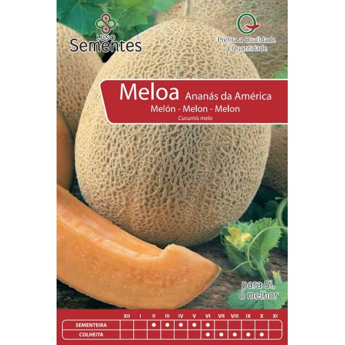 Meloa Ananás da América