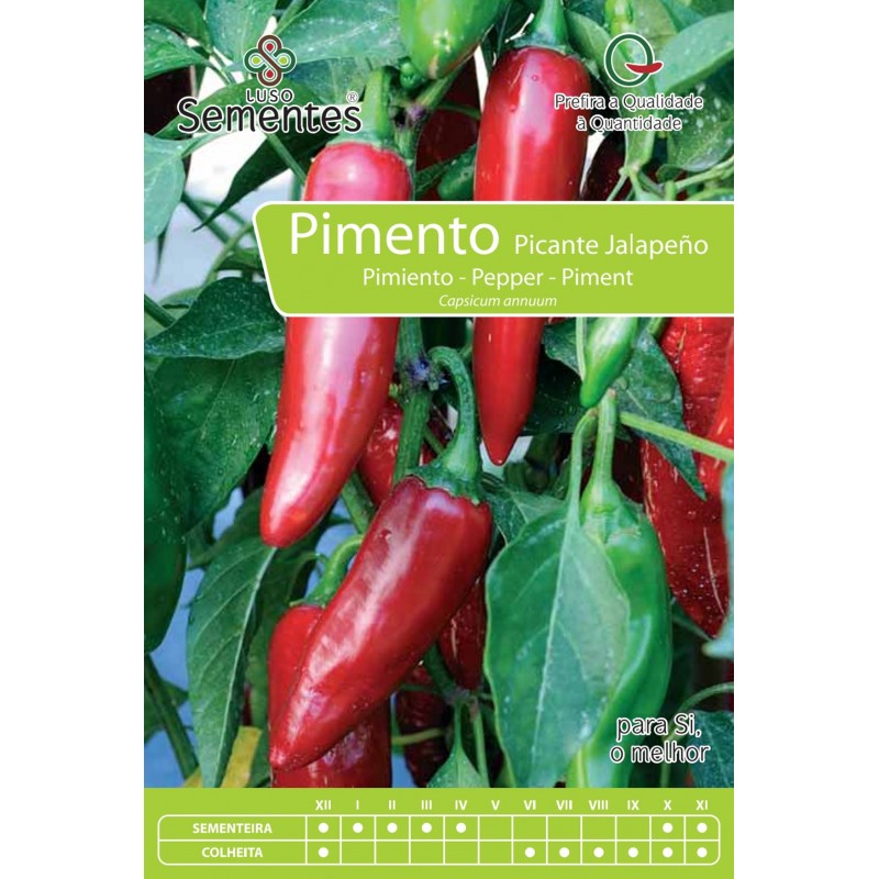 Pimento Picante Jalapeño