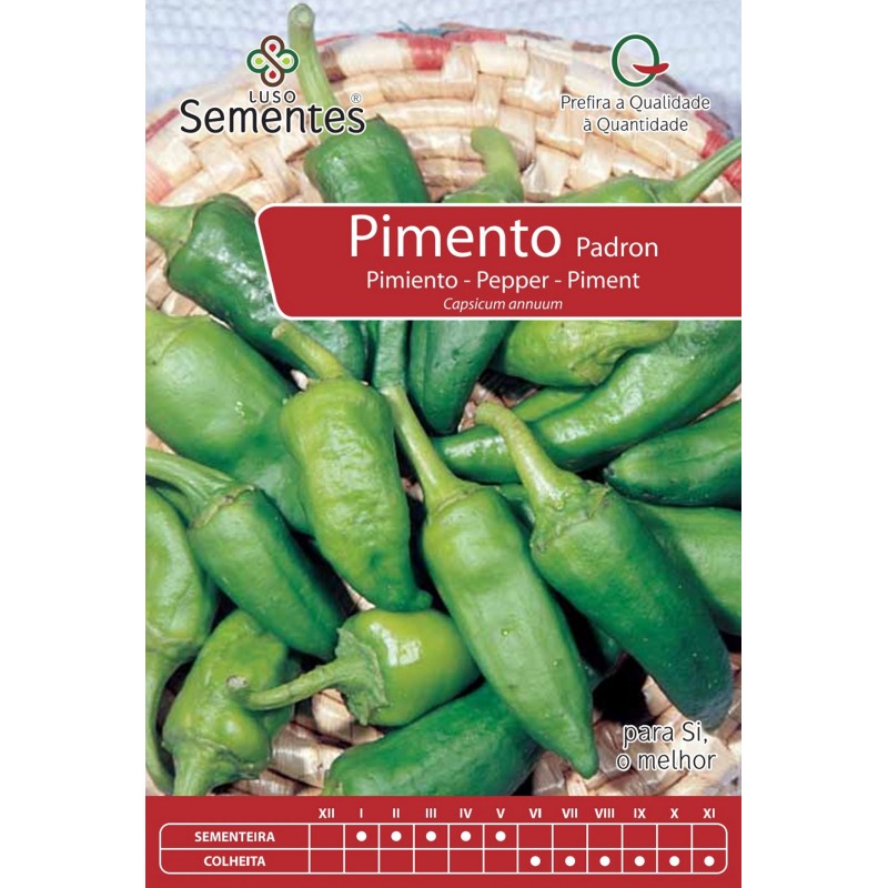 Pimento Padron