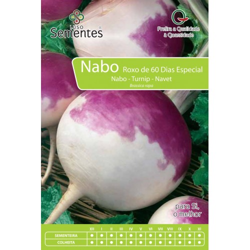 Nabo Roxo de  60 Dias Especial