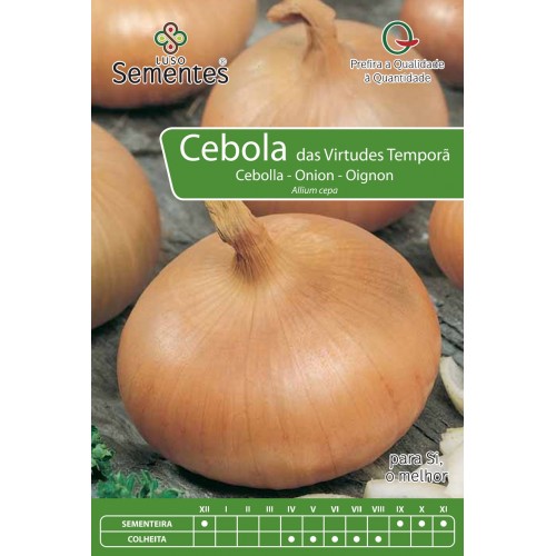 Cebolla de las Primeras Virtudes