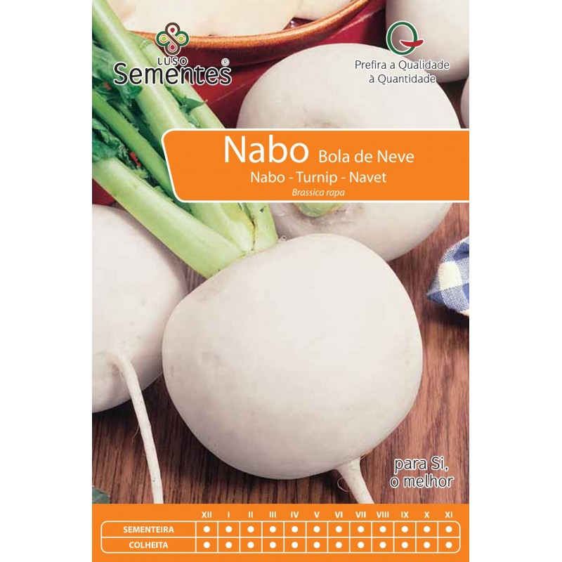Nabo Bola de Neve