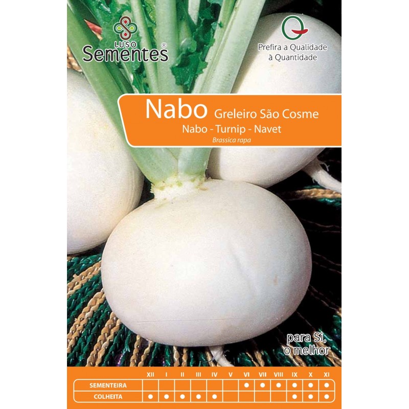 Nabo Greleiro São Cosme