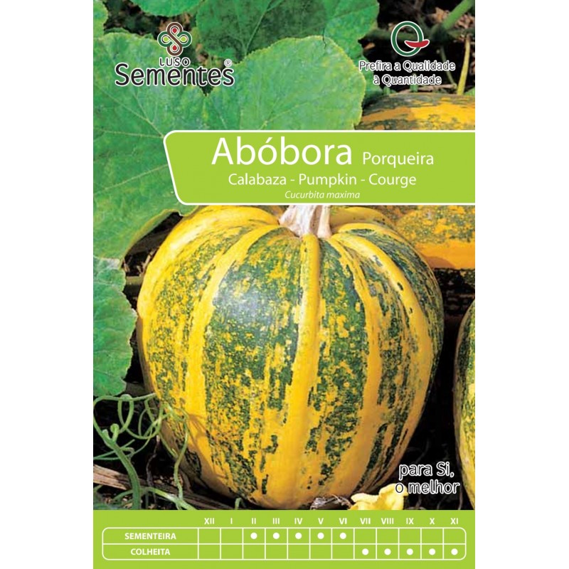 Calabaza Porqueira