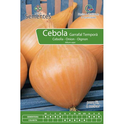 Cebolla De Botella Temprana