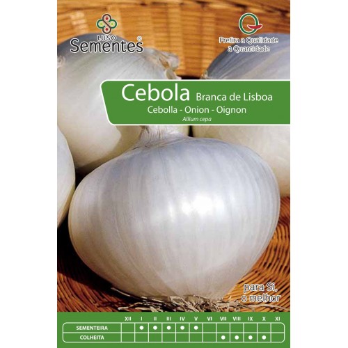 Cebolla Blanca De Lisboa