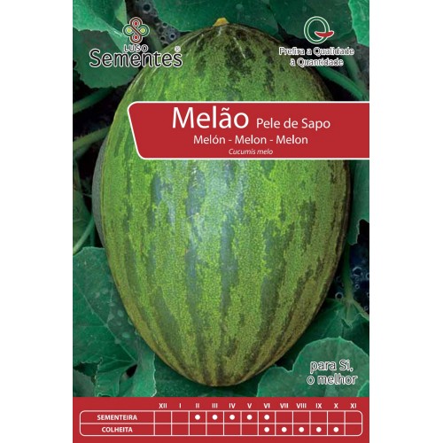 Melón Piñonet de Sapo
