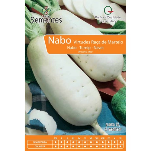 Nabo Virtudes Raça de Martelo
