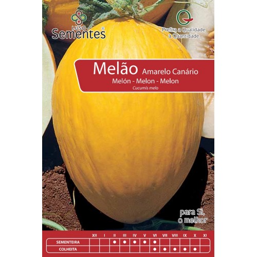 Melón Amarillo Canario