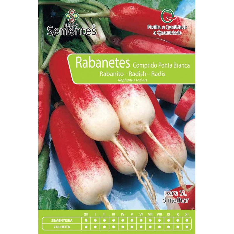 Rabanete Comprido Ponta Branca