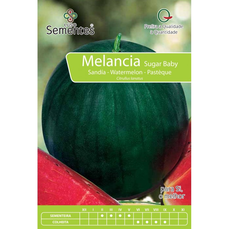 Melancia Sugar Baby