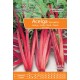 Acelga Vermelha "Rhubarb"