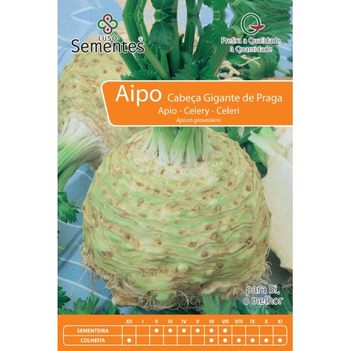 Aipo de cabeça