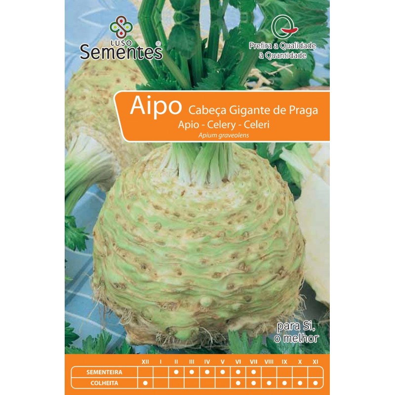 Aipo de cabeça