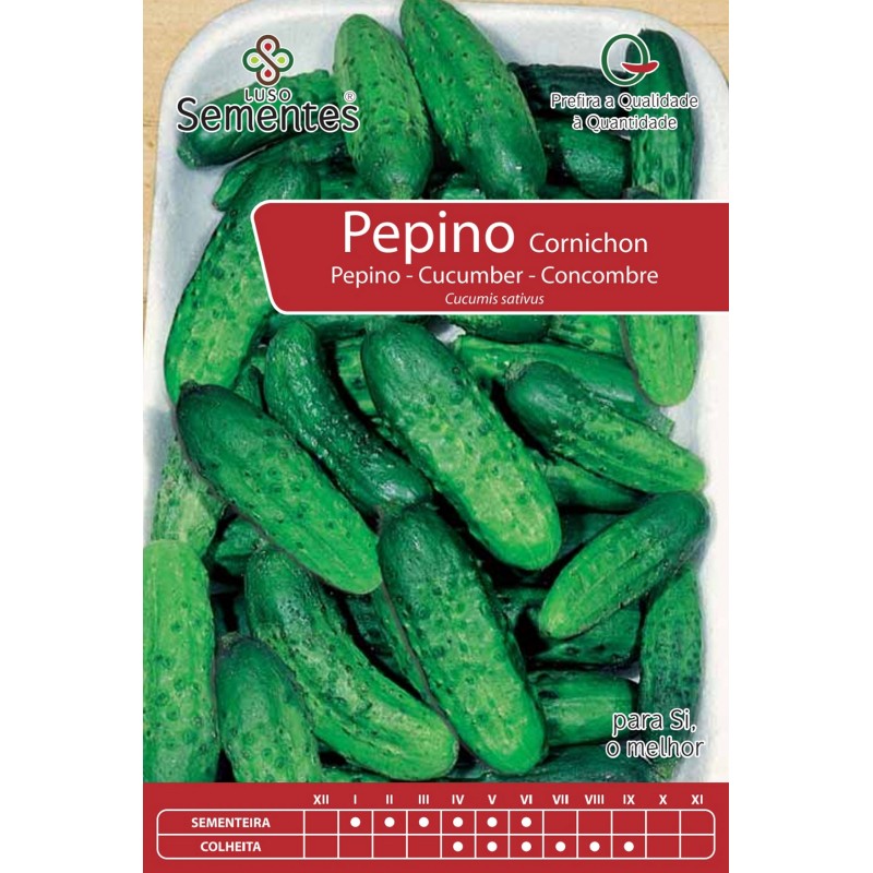 Pepino Cornichon