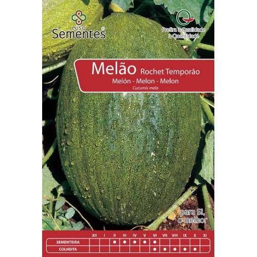 Melón Rochete Temporão