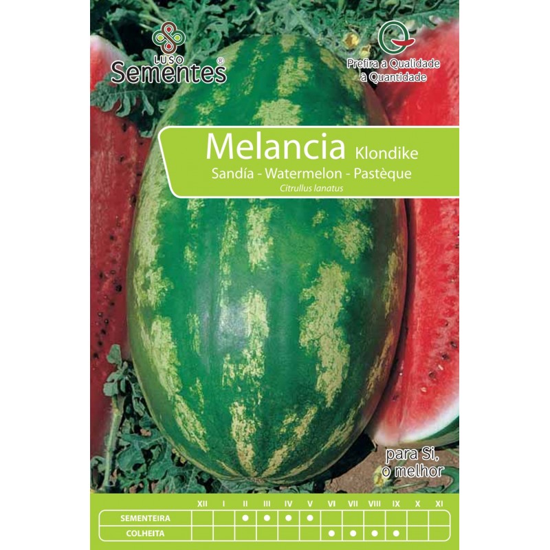 Melancia Klondike