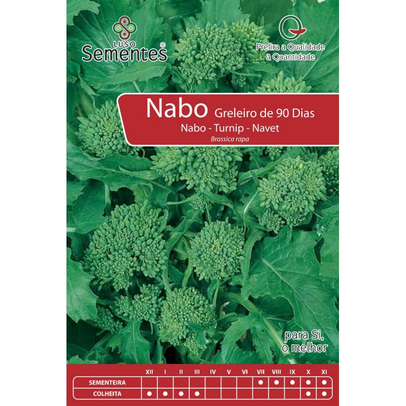 Nabo Greleiro de 90 Dias