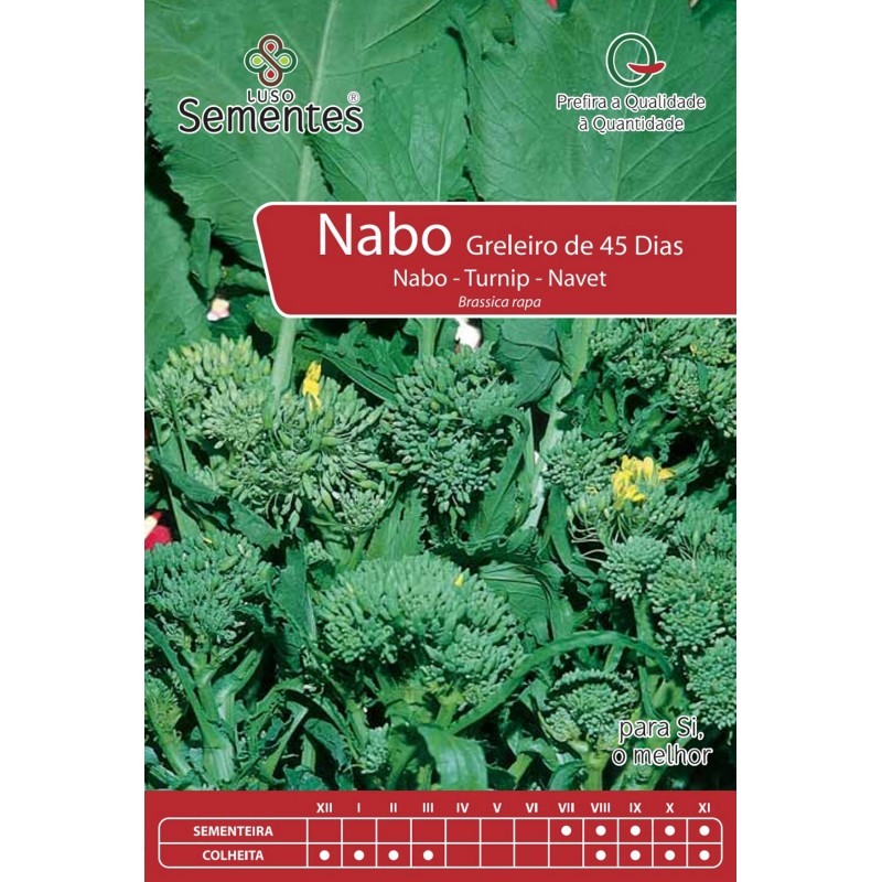 Nabo Greleiro de 45 Dias