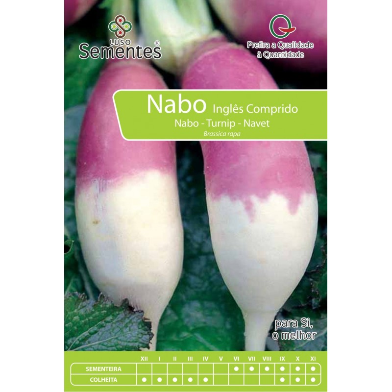 Nabo Inglês Comprido