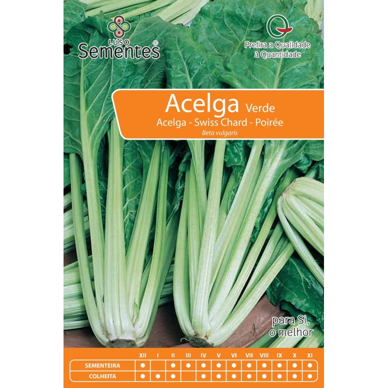 Acelga Verde