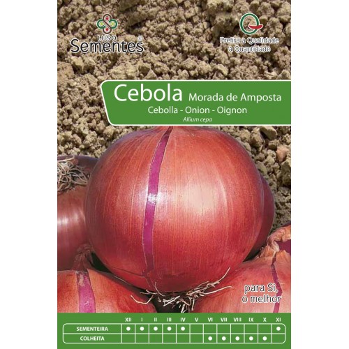 Cebolla Morada da Amposta