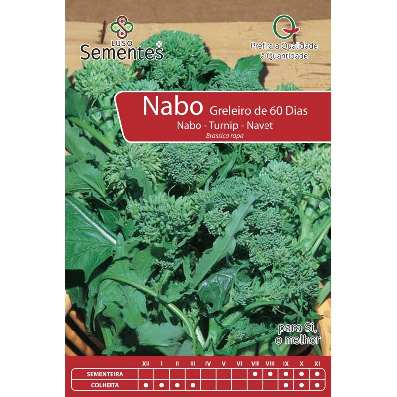 Nabo Greleiro de 60 Dias