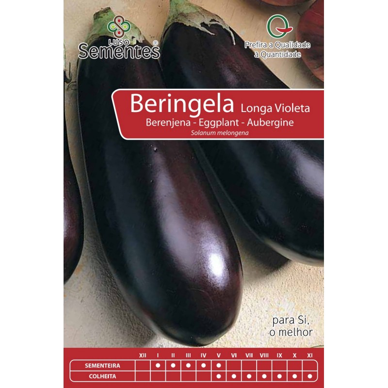 Beringela Longa Violeta