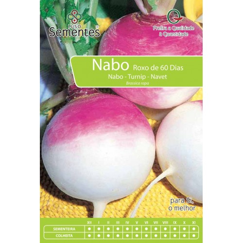 Nabo Roxo de 60 Dias