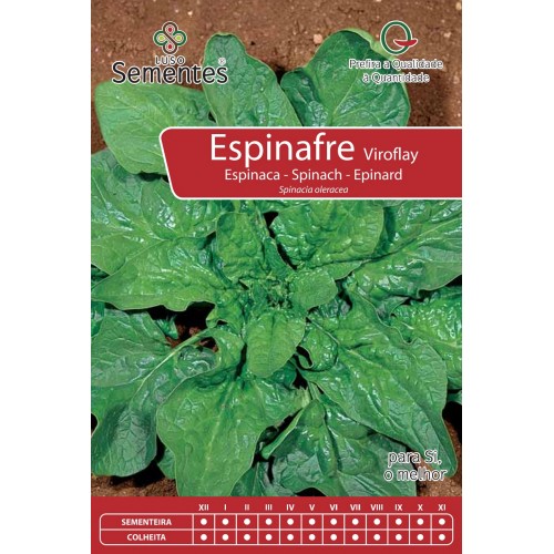 Espinafre Viroflay