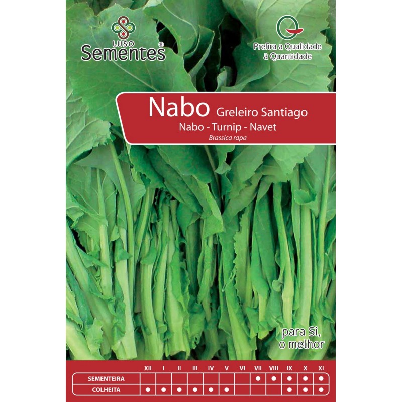 Nabo Parrilla Santiago
