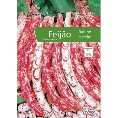 Feijão Rubino