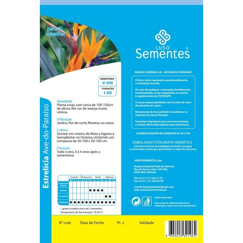 Estrelícia Ave do Paraíso