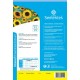 Girassol Ornamental Comum